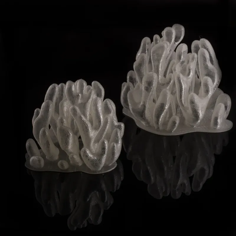 Dendrite