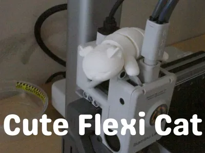 Cute Flexi Cat