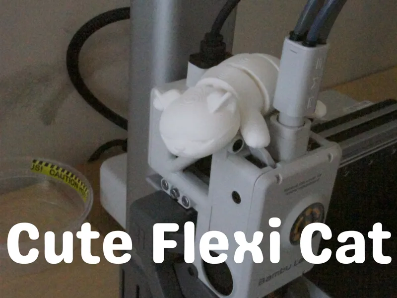 Cute Flexi Cat