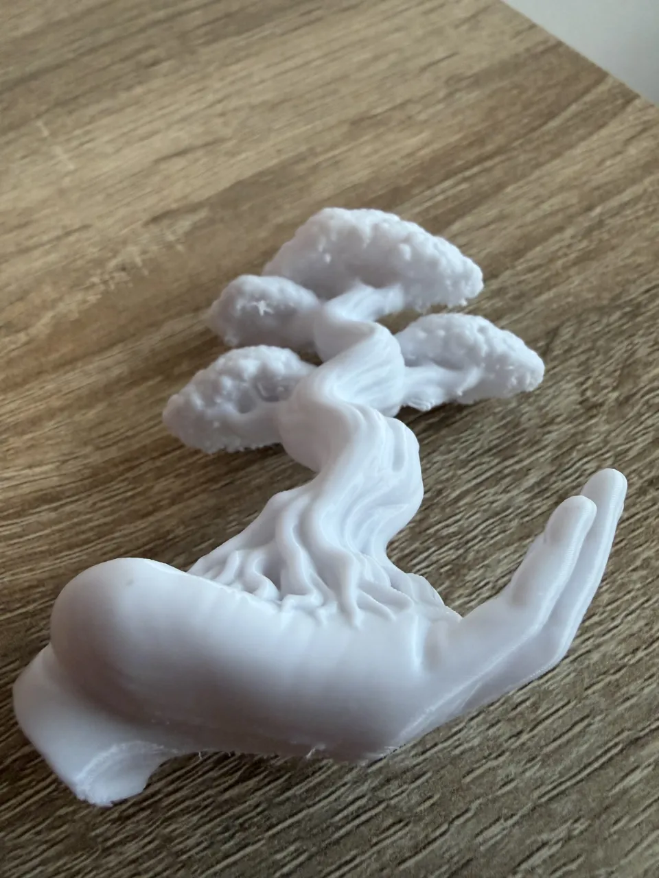Bonsai hand view 4