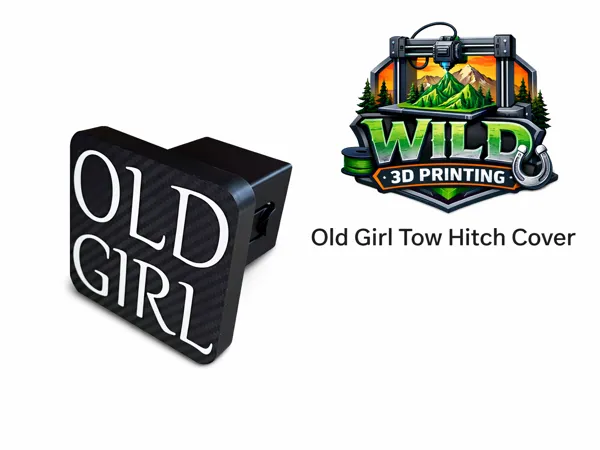 https://makerworld.bblmw.com/makerworld/model/USe401de052fcd19/design/7dfe8049b48c406a.png