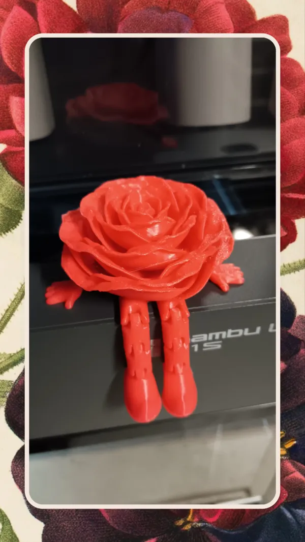 https://makerworld.bblmw.com/makerworld/model/USe403fa42262bee/design/2025-01-11_0c86725dabd8f.png