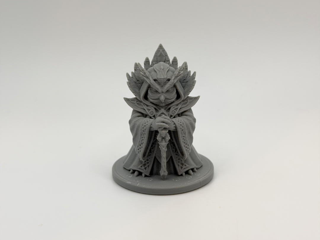 The Silent Archmage - DnD miniature Owl Mage