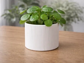 Modern Fluted Planter - Minimalist Ribbed Pot