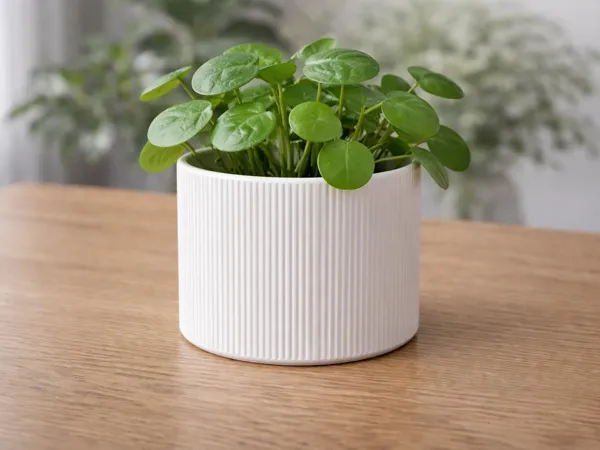 https://makerworld.bblmw.com/makerworld/model/USe40b975e76bf43/design/bbe4cef889760681.png