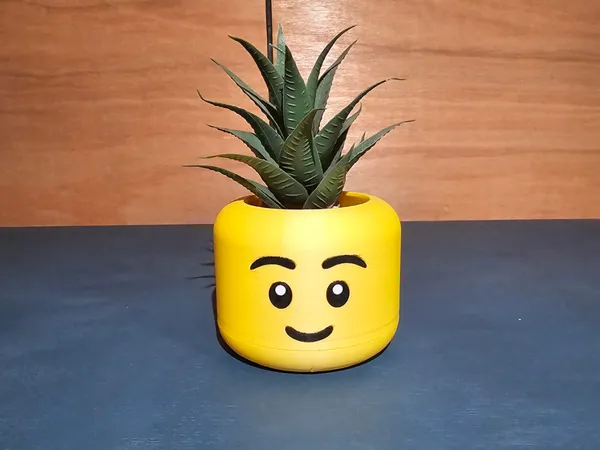 https://makerworld.bblmw.com/makerworld/model/USe40d852447f301/design/2024-07-12_7841d0c819c638.png