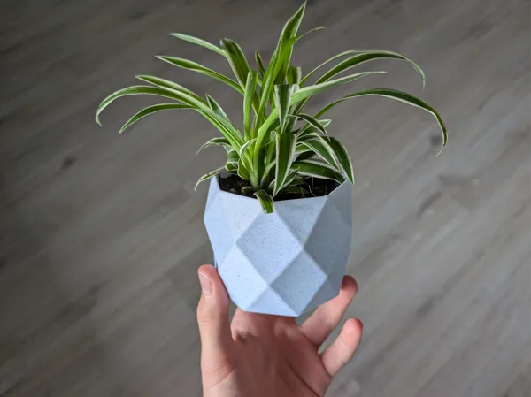 https://makerworld.bblmw.com/makerworld/model/USe410642b9ada45/design/2025-06-15_7c0b695782889.jpg