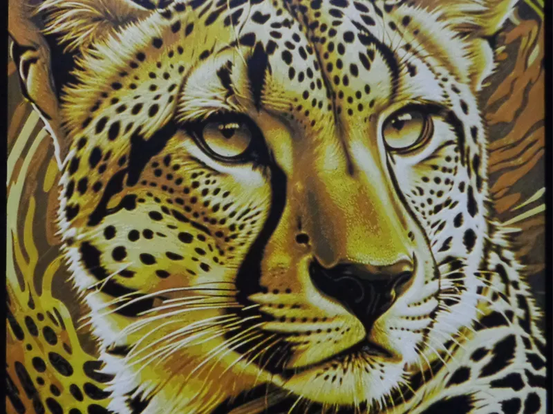 Hueforge Cheetah