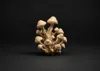 50 mm height