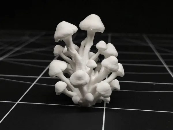 https://makerworld.bblmw.com/makerworld/model/USe418c0b01e8c47/design/11f43b2d8a0392a7.jpg