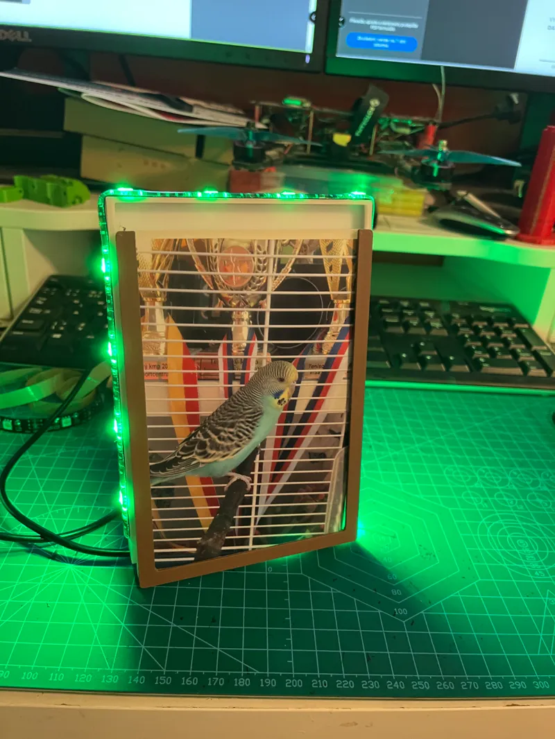 Back/side lighted photo frame