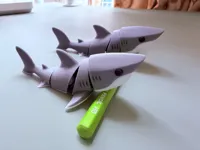 多色打印