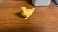 Petite poule mignonne — photo 5