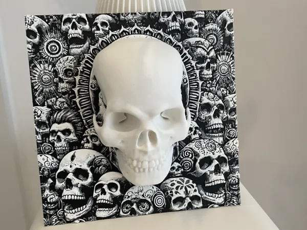 https://makerworld.bblmw.com/makerworld/model/USe4272a46563d77/design/2024-09-30_d672e9205aa3f.jpg