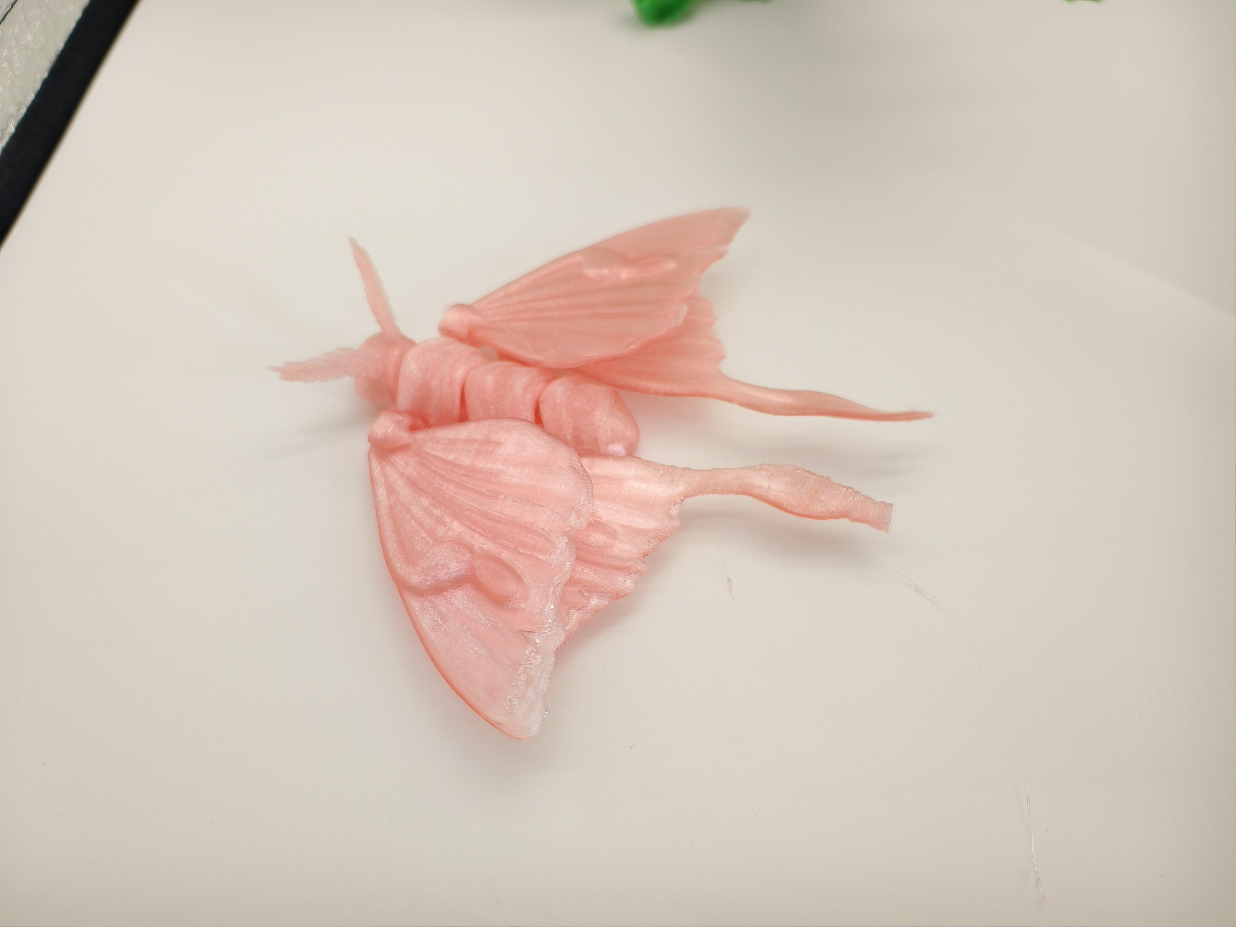 Miniatura 1 do modelo 3D 一只大蛾子，天使蛾，蝴蝶，MINI可打，玩具