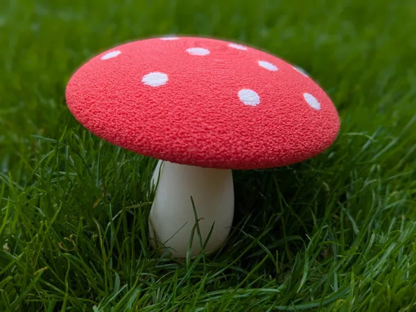 https://makerworld.bblmw.com/makerworld/model/USe42d928a396cc5/design/2025-10-08_a33f1c0450213.jpg