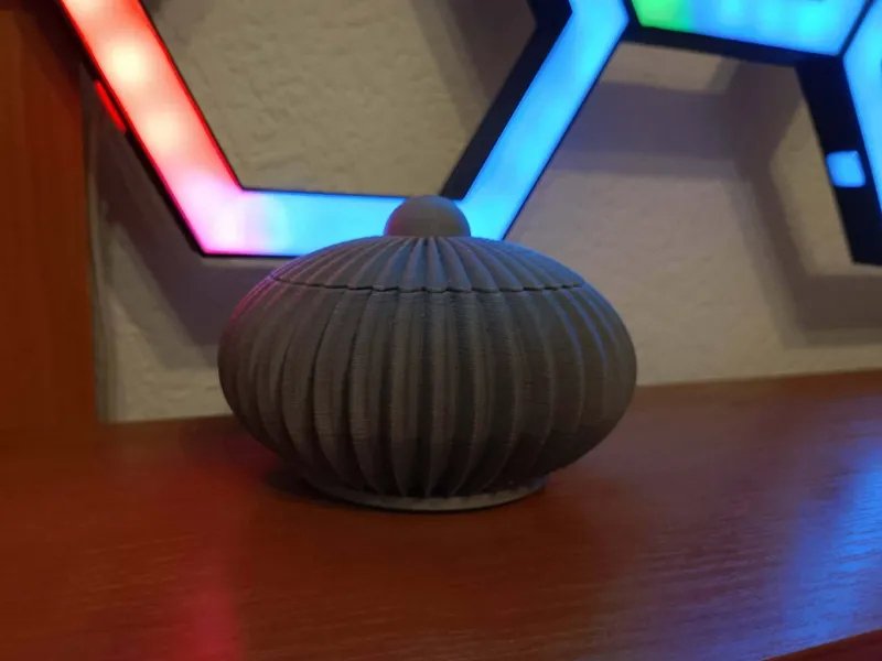 Spiral Decorative Storage Box with Lid | Modern 3D