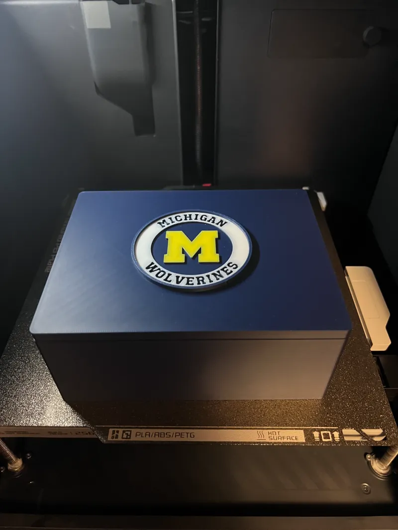 Michigan Storage Box