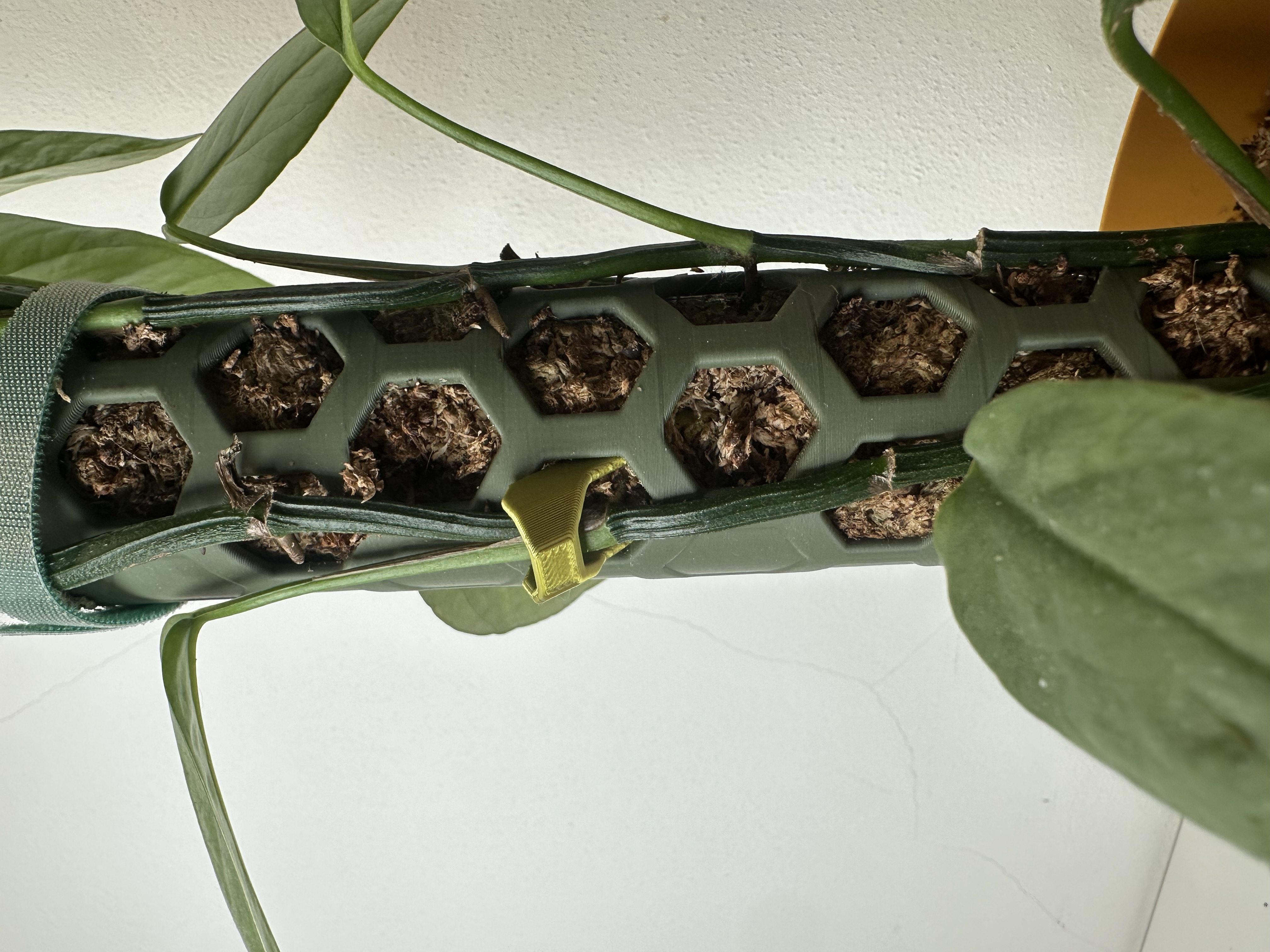 Ultimate Moss Pole - Modular Plant Support - Free 3D Print Model