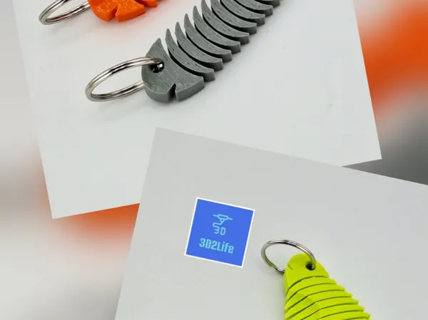 https://makerworld.bblmw.com/makerworld/model/USe43f1b3650633c/design/2025-07-27_db4de5b8629e18.jpg