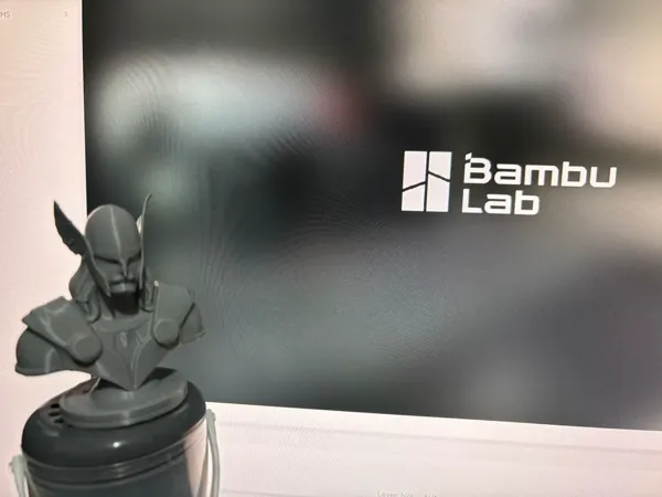 https://makerworld.bblmw.com/makerworld/model/USe4402cbeaa7132/design/2024-11-27_bace6e8a3814d.jpg