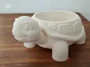 Trutle bowl