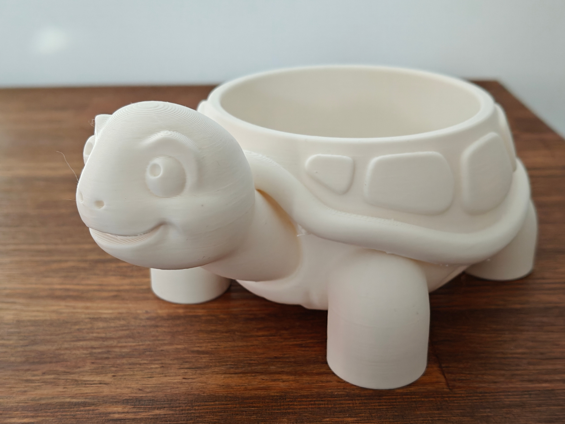 Cute Turtle Succulent Planter  Bowl Desk Organizer