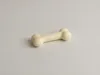 BONE MODEL