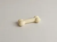BONE MODEL