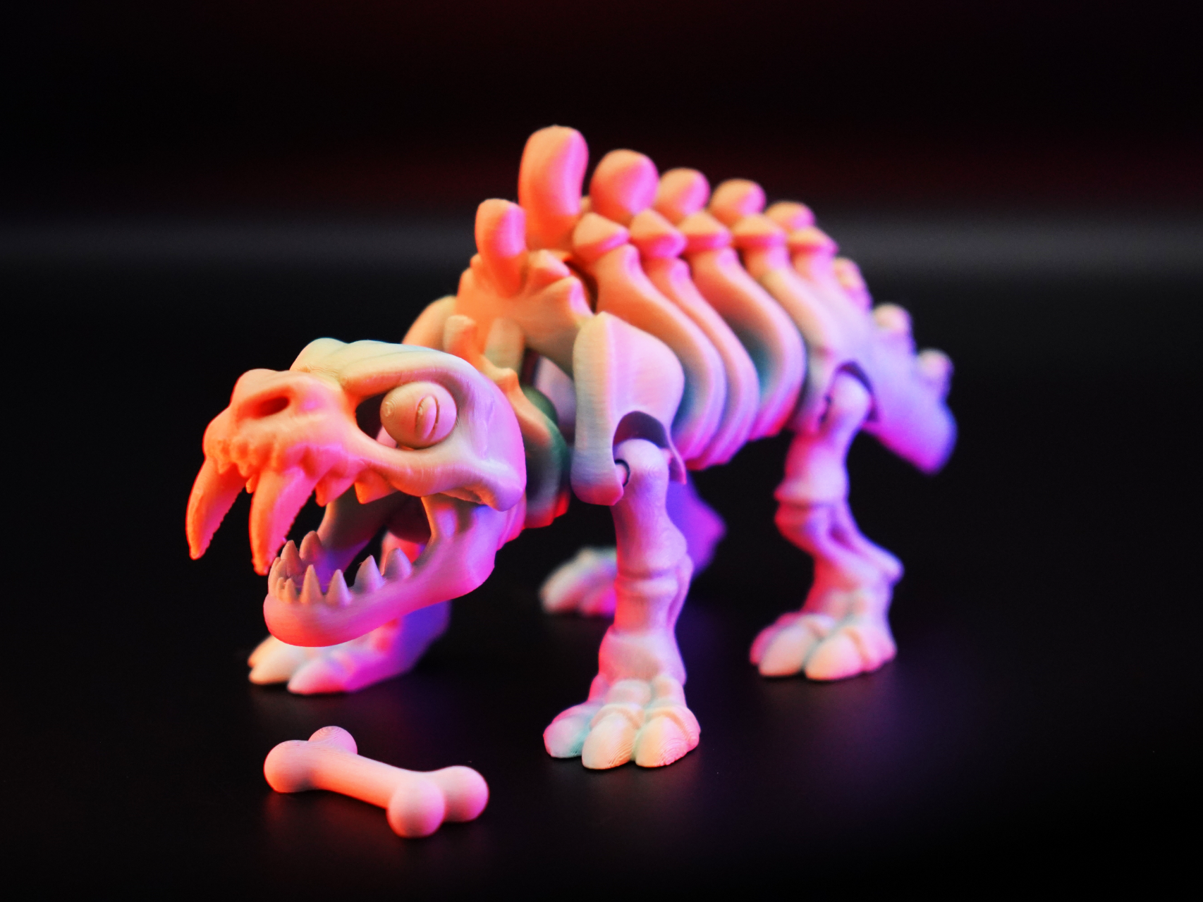 Articulated Similodon (Sabertooth)  Skeletal Flexi