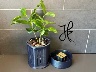 Arabica Self Watering Plant Pot