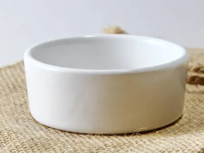 bowl for Dragonair model