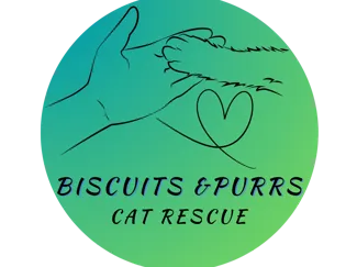 Biscuits and purrs cat rescue ornament