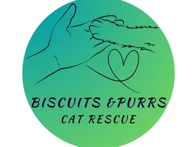 Biscuits and purrs cat rescue ornament