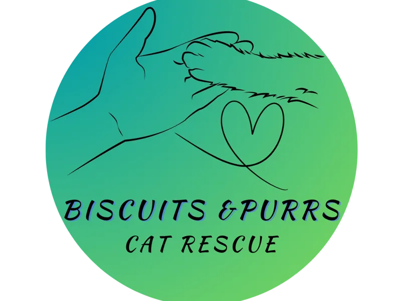 Biscuits and purrs cat rescue ornament