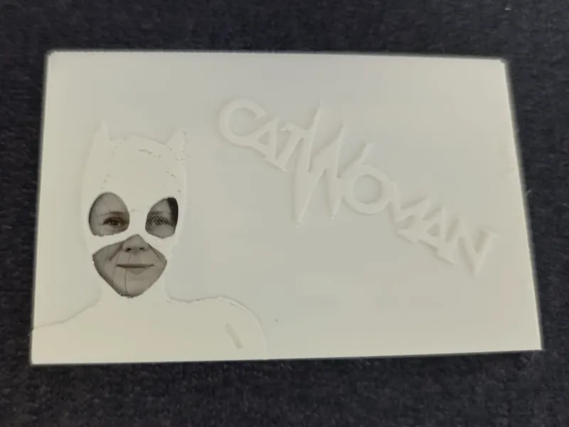ID card case/cover - CatWoman v2