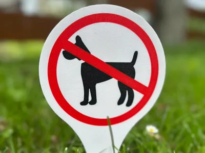 No Dogs Allowed Lawn Yard Sign Garden Warning Sign