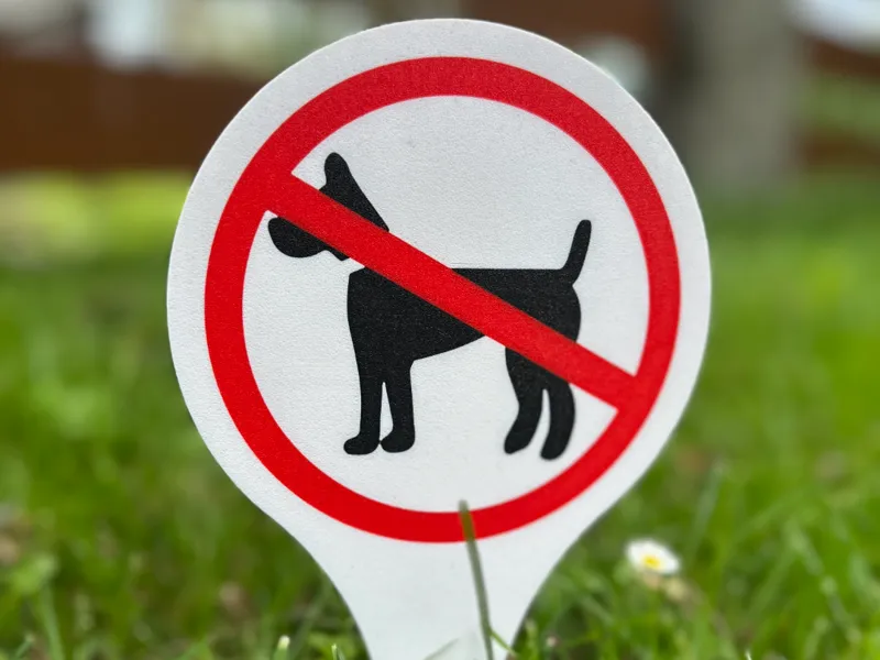 No Dogs Allowed Lawn Yard Sign Garden Warning Sign