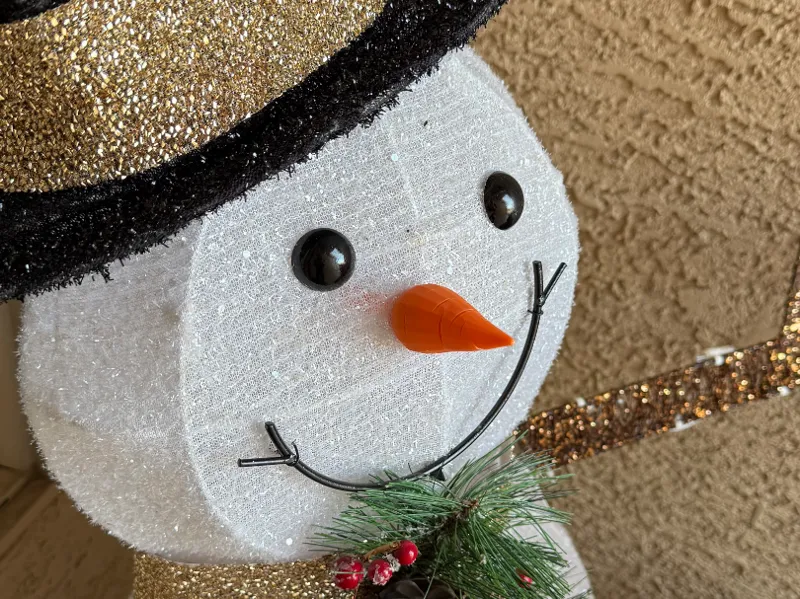 Snowman Carrot Nose