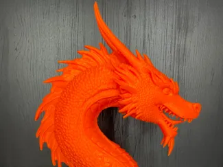 Dragon Bust
