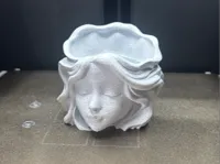 0.16mm layer, 3 walls, 5% infill