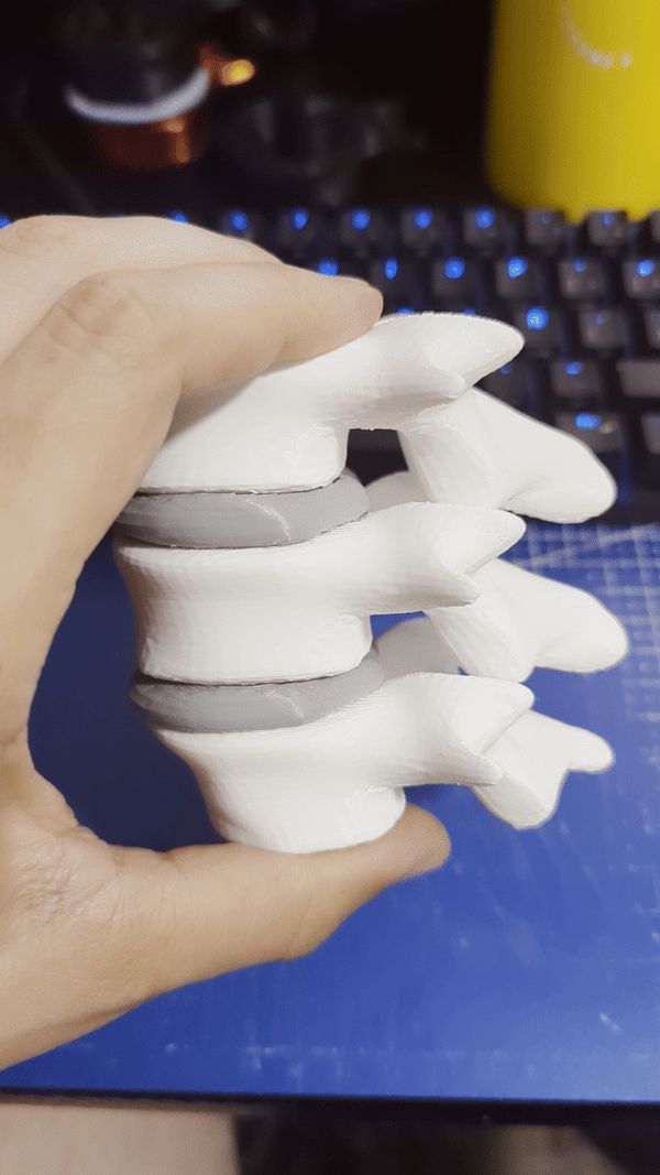 https://makerworld.bblmw.com/makerworld/model/USe46942d0be87f8/design/2024-08-08_483a9260d4603.gif