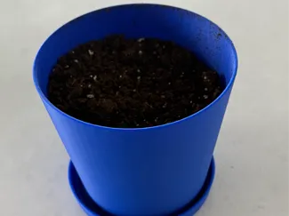 Flower Pot