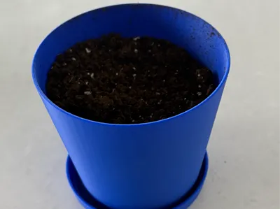 Flower Pot