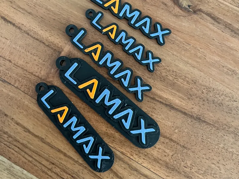 Lamax Keychain