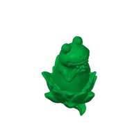 Grenouille mignonne sur une fleur de lotus — photo 8