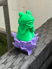 Grenouille mignonne sur une fleur de lotus — photo 6