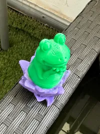 Grenouille mignonne sur une fleur de lotus — photo 5