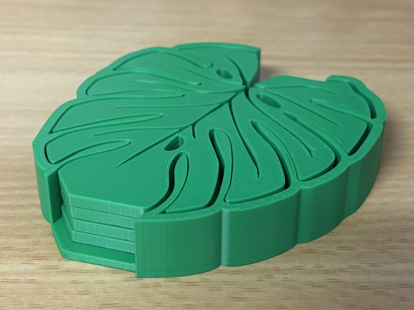 Monstera Leaf Coasters & Holder