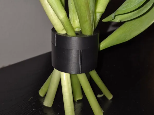 https://makerworld.bblmw.com/makerworld/model/USe48ca236887754/design/2025-02-04_9d4c088de4175.jpg